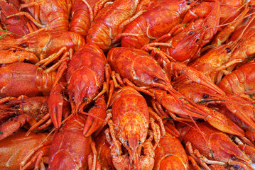 Still life with crayfish crawfish on old wooden background