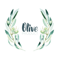 Watercolor olive branch. Sketch of olive branch on white background