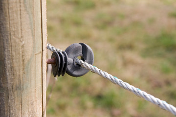 Stromzaun Isolator