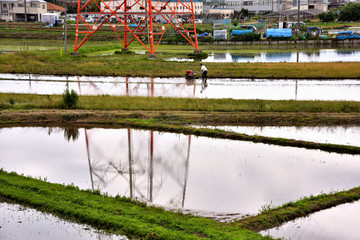 田植えの光景