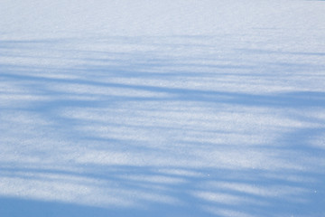 Fototapeta na wymiar Flat empty surface of fluffy snow. Glitter of snowflakes in the sun