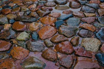 Pavement of a large wild stone