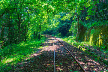 Obraz premium 神岡レールマウンテンバイク ガッタンゴーの風景(渓谷コース) 