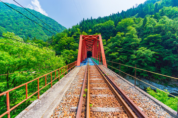 神岡レールマウンテンバイク ガッタンゴーの風景(渓谷コース)	
