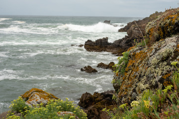 paysage de l'Ile d'Yeu, côte sauvage