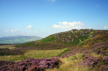 In the foggy mountains of the Cooley Peninsula.Slievenaglogh.Ireland.