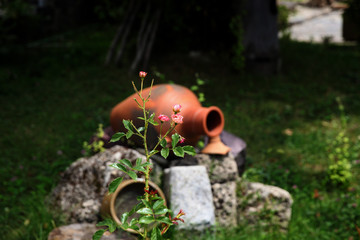  Garden decorated with clay jugs