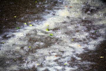 Obraz premium water flowing on ground