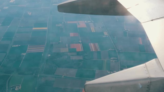 The plane flies over the beautiful fields of multicolored tulips in Holland, the view from the porthole. Airplane wing in flight over the tulip fields of the Netherlands