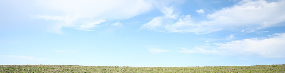 Obraz premium krajobraz dzikich kwiatów / duże pole i niebo krajobraz we wsi, fioletowe kwiaty dzika przyroda