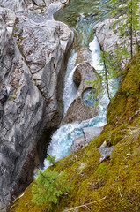 Fototapeta na wymiar clean mountain river with turquoise water flows in a deep rocky picturesque Maligne Canyon, surrounded by pine forest, Jasper National Park, Alberta, Canada