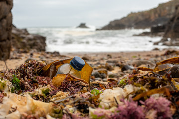 Obraz premium Plastique et algues