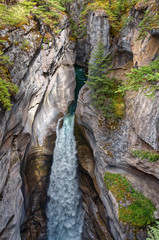 clean mountain river with turquoise water flows in a deep rocky picturesque Maligne Canyon, surrounded by pine forest, Jasper National Park, Alberta, Canada