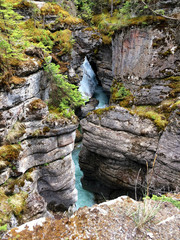clean mountain river with turquoise water flows in a deep rocky picturesque Maligne Canyon, surrounded by pine forest, Jasper National Park, Alberta, Canada