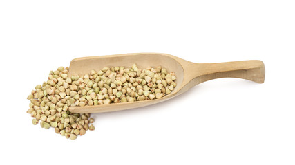 Some green buckwheat on a wooden spoon or scoop seen obliquely from above and isolated on white background
