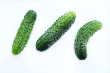  3 cucumbers on a white background. Isolated objects without shadows.