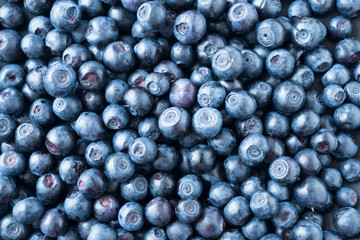 Macro photo. Fresh blueberry background. Texture blueberry berries close up. Ripe bilberry background. Texture bilberry berries close up. Top view. Berry background. Blueberries picked in forest. 