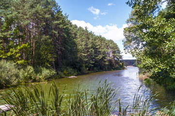 Late summer, river, trees and cloudy sky