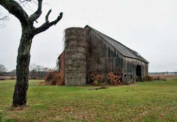 old barn in field with silo