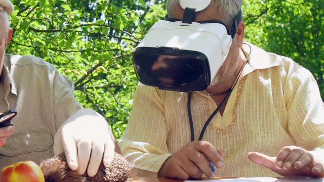 senior citizens examine hedgehog and aged man in white modern headset types on laptop in green garden. Concept virtual reality