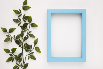 Empty blue wooden frame near the artificial plant on white background