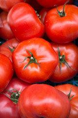 Red Tomato Background