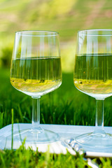 Famous German quality white wine riesling, produced in Mosel wine regio from white grapes growing on terraced vineyards in Mosel river valley in Germany