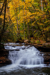 Mill Creek Falls - Waterfall in Autumn / Fall Forests - Appalachian Mountains - Kumbrabow State Forest - West Virginia