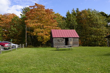 Old cabin resides near a beautiful autumn forest. 
