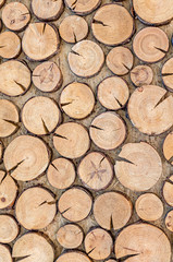The wooden structure of the saw cut of the tree as a background