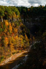 Deep Canyon Surrounded by Peak Autumn / Fall Season - Ithaca, New York