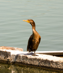 Sunset Regional Park