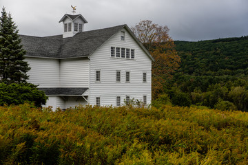 Fototapeta premium Yellow Goldenrod Wildflowers Surround Rustic Farm Barn - New York