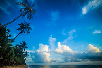 Fototapeta na wymiar Tropical Beach, tropic, beach, tropical, asie