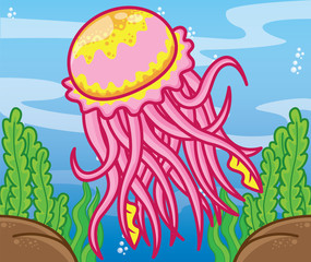 Jellyfish cartoon, animal cartoon, cute cartoon