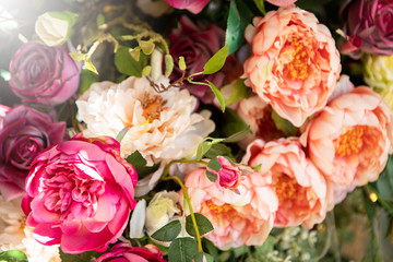 rose flower love anniversary background greeting card natural