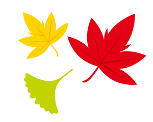 銀杏 イチョウ 葉 秋 落ち葉 イラスト 紅葉 落葉 楓 もみじ Wall Mural Nisi 銀杏 イチョウ 葉 秋 落ち葉 イラスト 紅葉 落葉 楓 もみじ Wall Mural Nisi