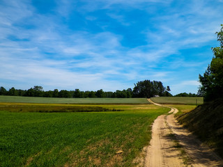 Country road and meadow in Tuchola Forest, Kashubia Region, Poland.