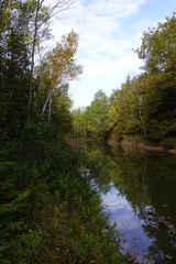 Beautiful Fall color forest changing colors during Autumn Season