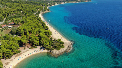 Aerial drone photo of beautiful covered in pine trees paradise sandy organised beach of Lagomandra...