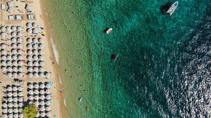 Fototapeta na wymiar Aerial drone photo of beautiful covered in pine trees paradise sandy organised beach of Lagomandra with turquoise clear sea in Sithonia peninsula, Halkidiki, North Greece