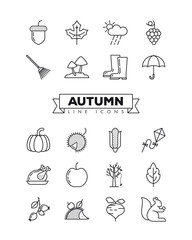 Autumn outline stlye icons vector collection