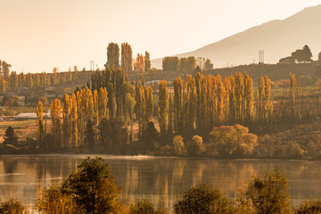 Sunrise views of the Columbia River near Entiat, Washington, USA.