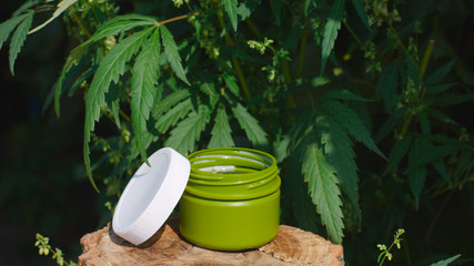 Macro close up of jar with cream of biological and ecological cannabis plant herbal pharmaceutical...