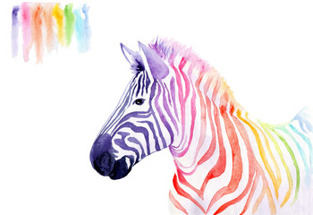 Fototapeta na wymiar watercolor drawing of an animal - rainbow zebra