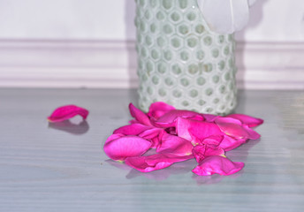 Rosenblätter verblüht pink abgefallen Stillleben weiß isoliert Vase einfach stilvoll
