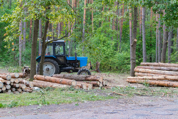 Industrial deforestation by forestry workers using machinery