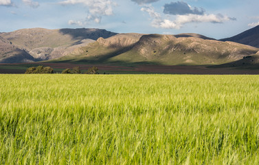 Paisaje Rural