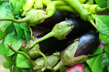 Eggplant sale in the market. eggplant and leaves . Eggplant, aubergine background.