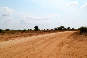 Fototapeta na wymiar Desert landscape of the Kenyan Savannah